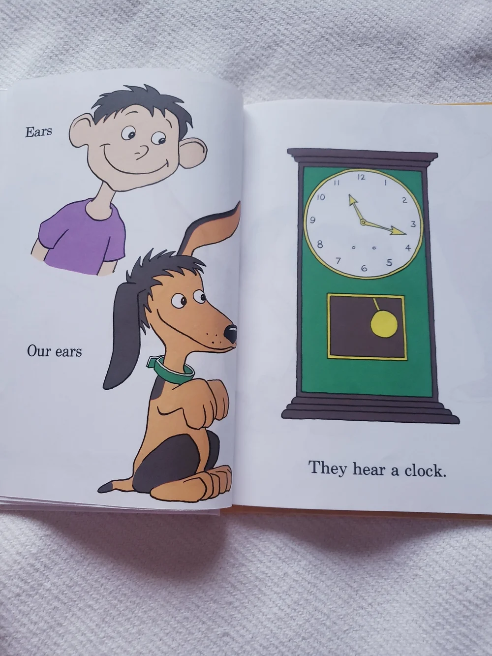 Dr. Seuss dr seuss